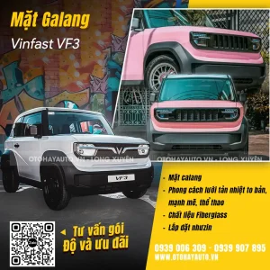 mat-ga-lang-ngau-do-vf3-long-xuyen