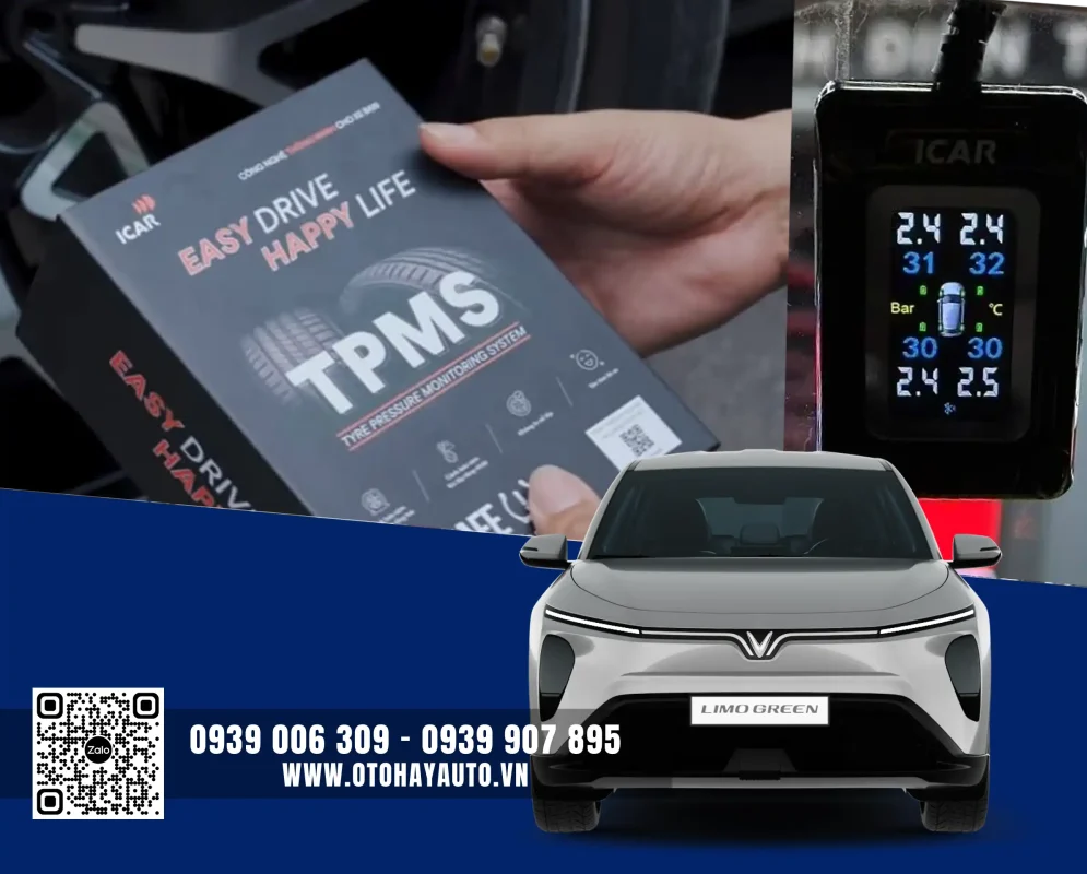 ap-suat-lop-limo-green-an-giang