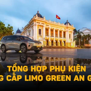 dich-vu-nang-cap-vinfast-limo-green-an-giang