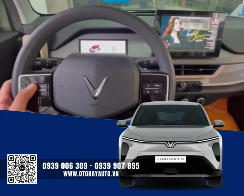 do-phim-bam-vo-lang-limo-green-an-giang